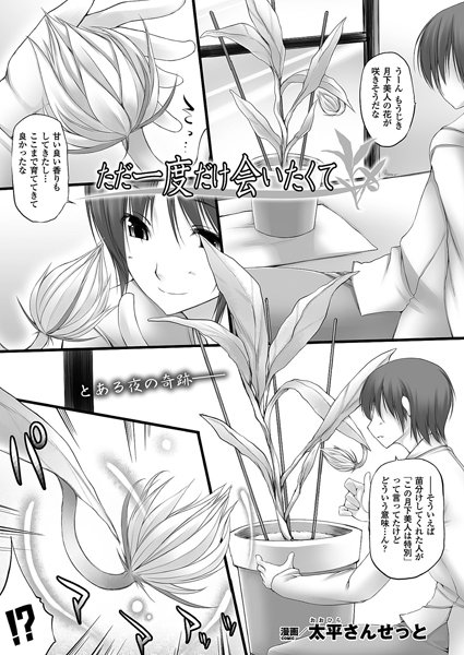 ただ一度だけ会いたくて（単話）