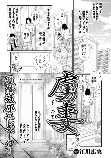 虜妻 監禁放尿エレベーター（単話）