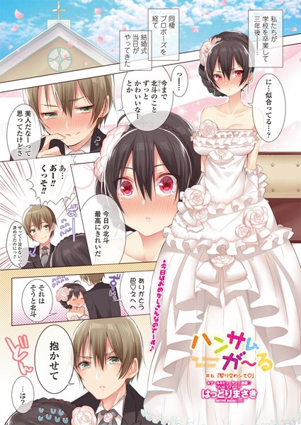 ハンサムが〜る（単話）