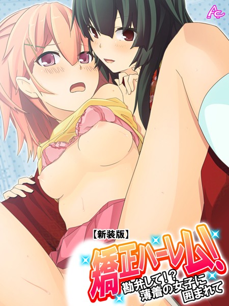 矯正ハーレム! 矯正ハーレム!