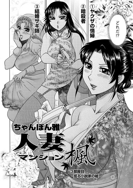 人妻マンション楓（3）