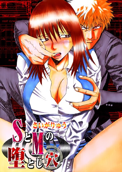 SとMの堕とし穴