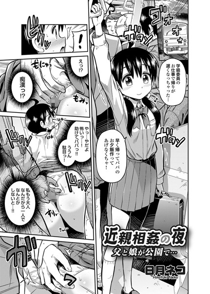 近親相姦の夜 父と娘が公園で…（単話）