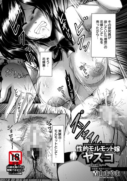 性的モルモット嫁 ヤスコ【単話】(単話) 性的モルモット嫁 ヤスコ【単話】(単話)