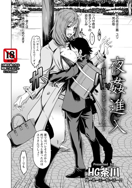 夜姦進入【単話】（単話）