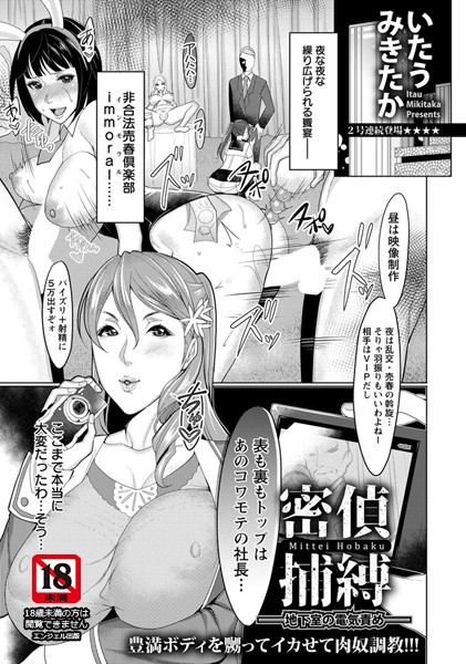 密偵捕縛 〜地下室の電気責め〜【単話】（単話）