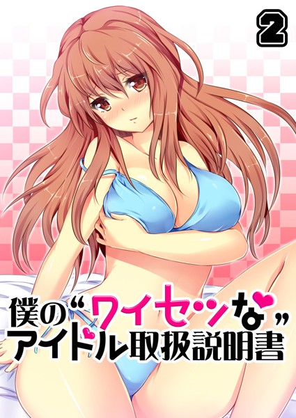 僕の‘ワイセツな’アイドル取扱説明書 2