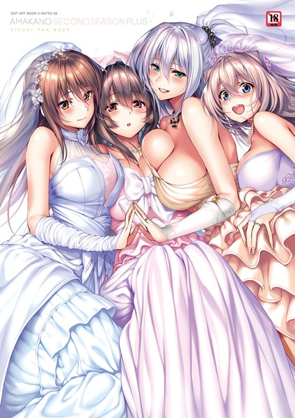 アマカノ〜Second Season〜+(プラス)ビジュアルファンブック【FANZA限定特典付き】 アマカノ〜Second Season〜+(プラス)ビジュアルファンブック【FANZA限定特典付き】