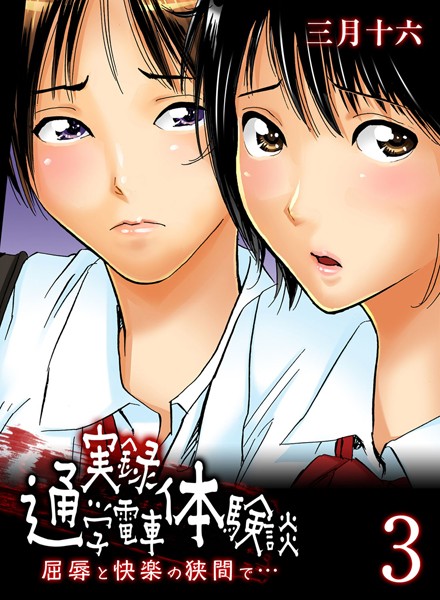実録通学電車体験談-屈辱と快楽の狭間で…-（単話）