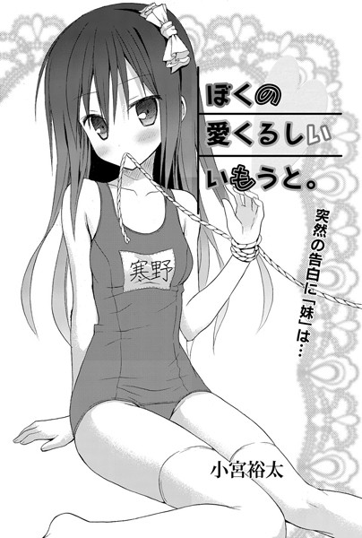 ぼくの愛くるしいいもうと。 1 お兄ちゃんは私だけのもの