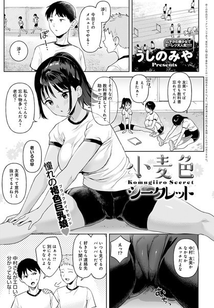 小麦色シークレット（単話）