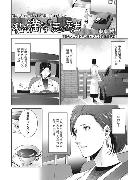 私を満たす最悪の方法（単話）