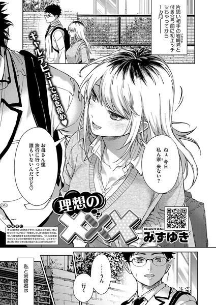 理想の×××（単話）